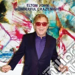 Elton John - Wonderful Crazy Night