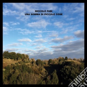 Niccolo' Fabi - Una Somma Di Piccole Cose cd musicale di Niccolo' Fabi