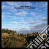 (LP Vinile) Niccolo' Fabi - Una Somma Di Piccole Cose (Rsd 2017) cd