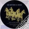 (LP Vinile) Mumford & Sons - Delta Acoustic Session (Rsd 2019) (Picture Disc) cd