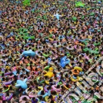 (LP Vinile) Elbow - Giants Of All Sides vinile