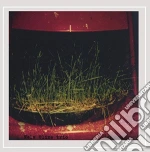 Nels Cline - Ground cd