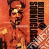 Bedouin Soundclash - Sounding A Mosaic cd