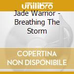 Jade Warrior - Breathing The Storm cd