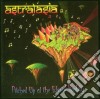 Astralasia - Pitched Up At The Edge Of Reality cd