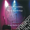 Troy Donockley & Dave Bainbridge - When Worlds Collide cd