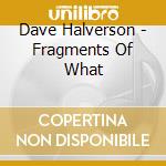 Dave Halverson - Fragments Of What cd