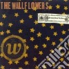 Wallflowers (The) - Bringing Down The Horse cd musicale di WALLFLOWERS