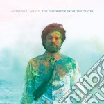 (LP Vinile) Anthony D'Amato - The Shipwreck From The Shore