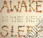 Ben Lee - Awake Is The New Sleep
