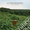 Luther Dickinson - Rock 'N' Roll Blues cd