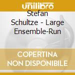 Stefan Schultze - Large Ensemble-Run cd