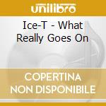 Ice-T - What Really Goes On cd