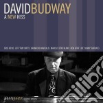 David Budway - A New Kiss