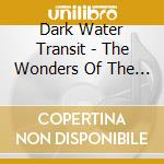 Dark Water Transit - The Wonders Of The New New Testament cd