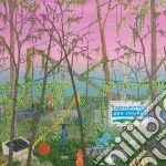 (LP Vinile) Caddywhompus - Odd Hours vinile