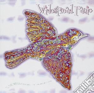 Widespread Panic - Til The Medicine Takes cd musicale di Widespread Panic