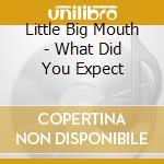 Little Big Mouth - What Did You Expect cd musicale di Little Big Mouth