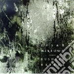 Mc Kreown Susan - Bushes & Briars cd