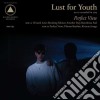 Lust For Youth - Perfect View cd
