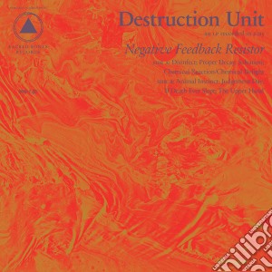 (LP Vinile) Destruction Unit - Negative Feedback Resistor lp vinile di Destruction Unit