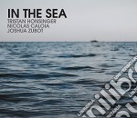 Honsinger/Caloia/Zub - In The Sea