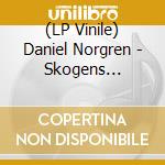 (LP Vinile) Daniel Norgren - Skogens Frukter lp vinile di Daniel Norgren