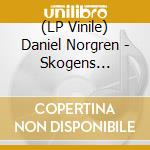 (LP Vinile) Daniel Norgren - Skogens Frukter vinile
