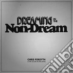 Chris Forsyth & The Solar Motel Band - Dreaming In The Non-Dream