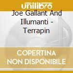 Joe Gallant And Illumanti - Terrapin cd