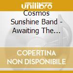 Cosmos Sunshine Band - Awaiting The Wrath Of A Vengeful God cd