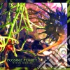 Steve Roach - Possible Planet cd