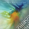Steve Roach - Painting In The Dark cd