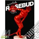 Discoballs (tribute To Pink Floyd) cd