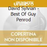 David Sylvian - Best Of Guy Penrod cd