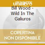 Bill Wood - Wild In The Galiuros cd