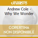 Andrew Cole - Why We Wonder cd