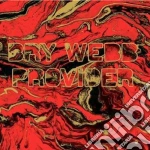 (LP Vinile) Bry Webb - Provider vinile