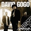 David Gogo - Vicksburg Call cd