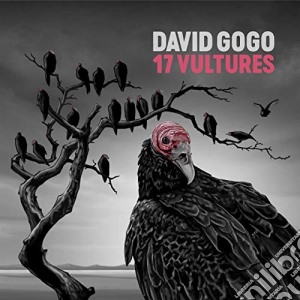 David Gogo - 17 Vultures cd musicale di David Gogo