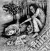 Basement Torture Killings - A Split Worse Than Death cd