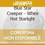 Blue Star Creeper - White Hot Starlight