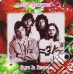 Strawbs - Alive In America cd