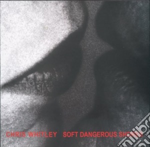 Chris Whitley - Soft Dangerous Shore cd musicale di Chris Whitley