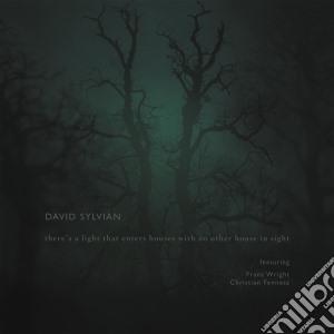 David Sylvian - There Is A Light That Enters Houses With No Other House In Sight cd musicale di David Sylvian