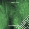 Theo Travis & Robert Fripp - Between The Silence (3 Cd) cd