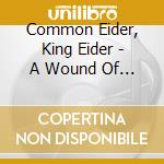 Common Eider, King Eider - A Wound Of Body
