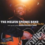 Melvin Sparks Band (The) - What You Hear Is What You
