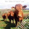 Dub Dynasty - Holy Cow cd