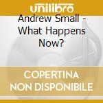 Andrew Small - What Happens Now? cd musicale di Andrew Small